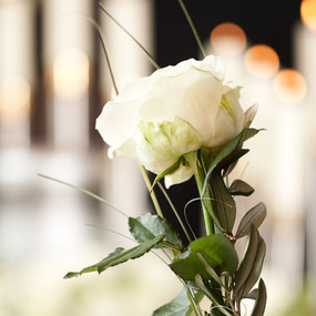 Weiße Rose und brennende Kerzen symbolisieren Trauerfeier und Abschied bei Beerdigung.